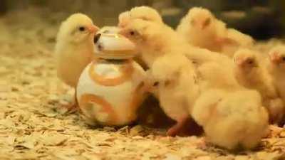 This adorable BB-8 droid