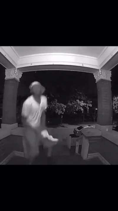 TBF it did attack him first...