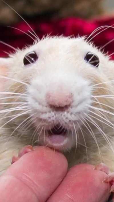 The flesh suit really bothers me tbh