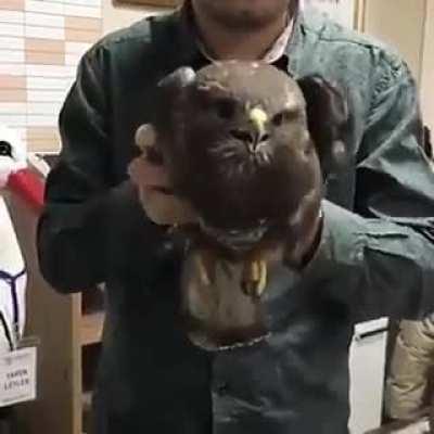 Wot u fucking cunt? Watchin u. Swer to god if u come hear and say that agen ill come n smack ur bitch up