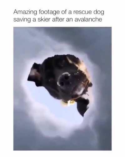 You took my balls and made me a bitch, Now pay for your sins and die in a ditch.