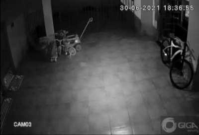 Is this Ghost Orbs in my garage?