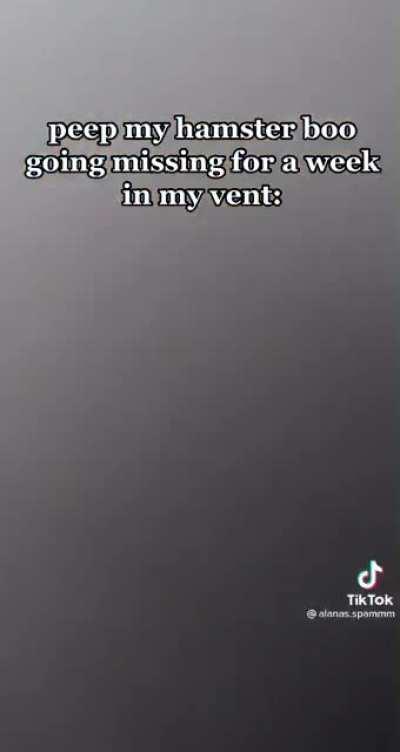 My people need me. I must go