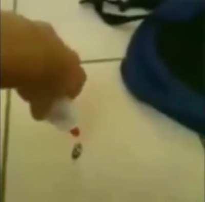 Please rise for our national anthem