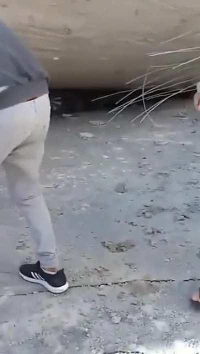 Water tank collapses and rolls downhill in Brazil