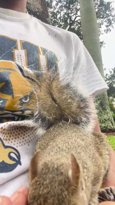 Some sunshine on an overcast day