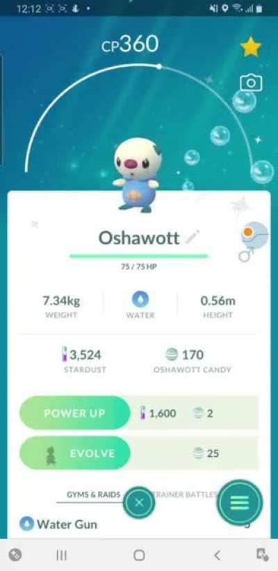Oshawott killing it