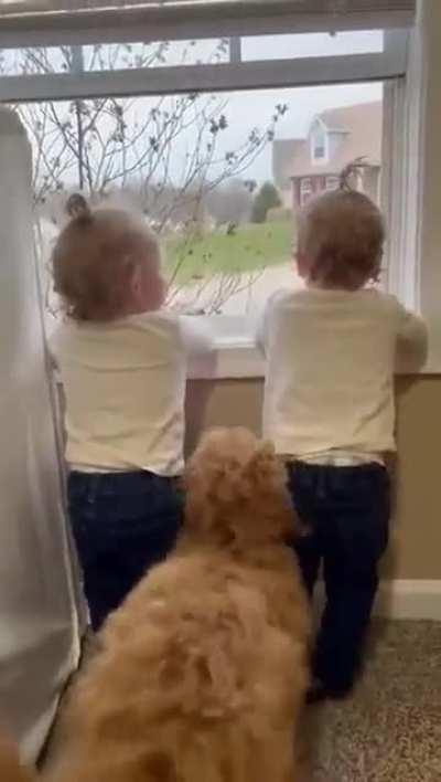 Brother is coming home