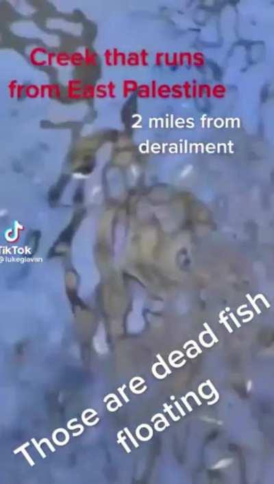 Train crash in East Palestine, Ohio: way worse than we're being told.