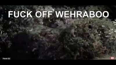 “I just think nazi uniforms looked cool!”