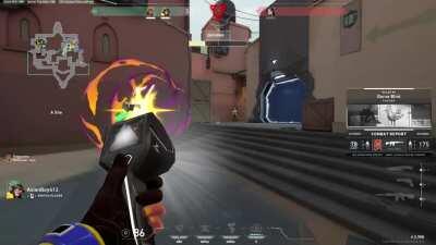 Creepy Sage clone glitch?? - She there but she not