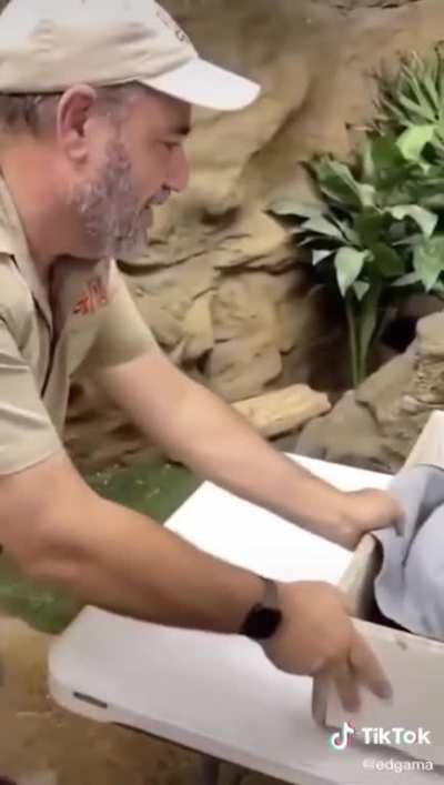 She loves her babies