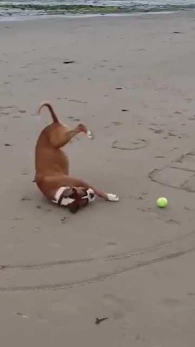 to catch the ball