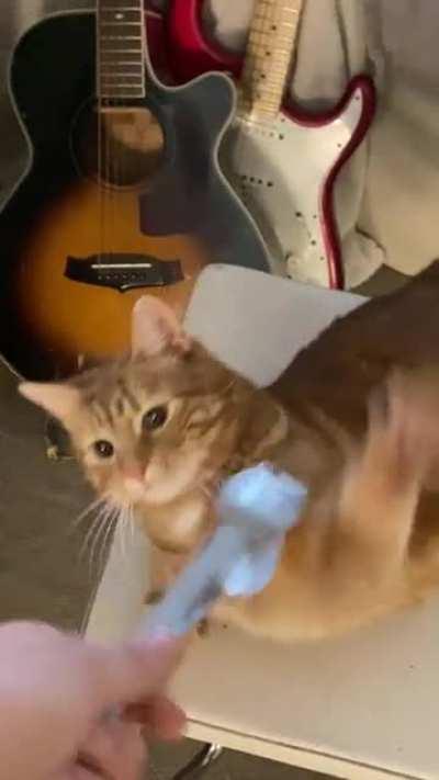 Get those tongs away from me!