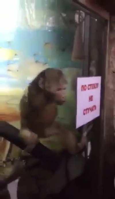 On my last visit to the zoo