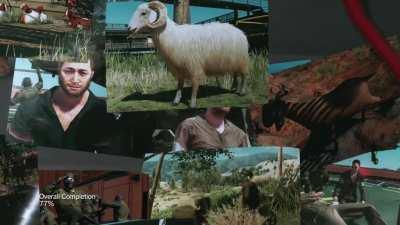 Was fultoning sheep non stop then this happened....