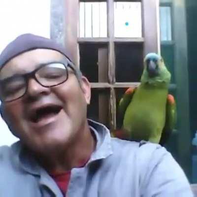 Luangameplay666 - Video #9022