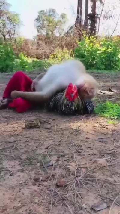 Just a normal day here