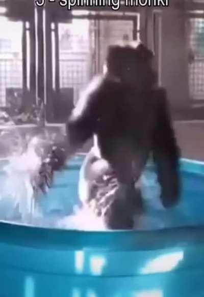 Top 10 Orson Videos 😳|| WatchMojo