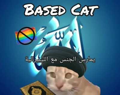 BASED CAT