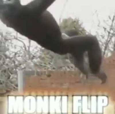 if Ronin could do acrobatics