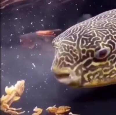 Consider this a threat