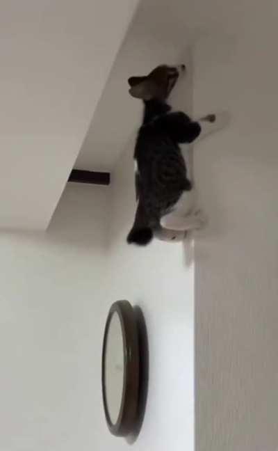 searching more space in the outer space