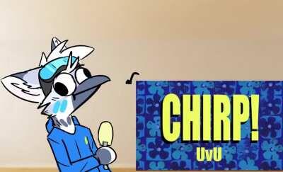chirp🐦irl