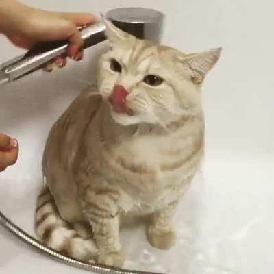 Hey, I kind of like this!