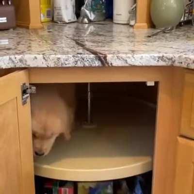 Walking on a rotating cabinet shelf