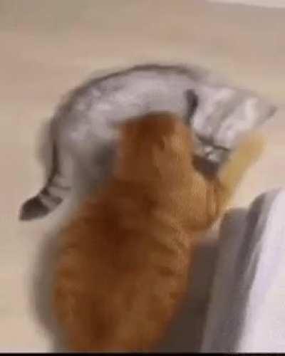 Man laughing while making giant pizza