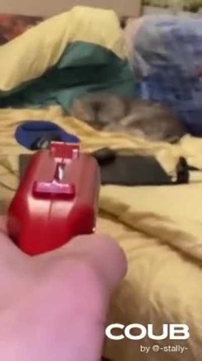 Доброе утро!