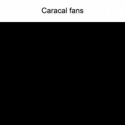 My take on the gun fans explain format