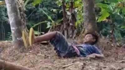 Bamboo cannon (sundanese content)