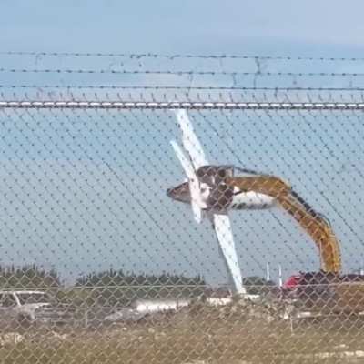 Just a CAT playing with the plane