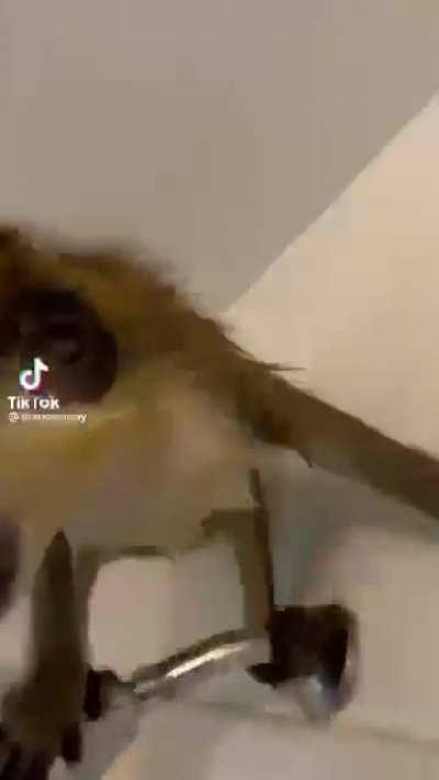 Mans just had the sickest belly flop I've ever seen