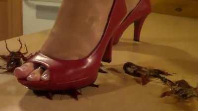 crush crd. red shoes