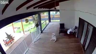 Moment of a magnitude 7.3 earthquake in Port Vila, Vanuatu, 17 December 2024.