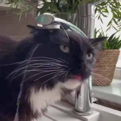 mlem mlem water, somewhere, I guess