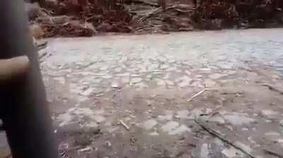 revenge is a dish that is eaten cold