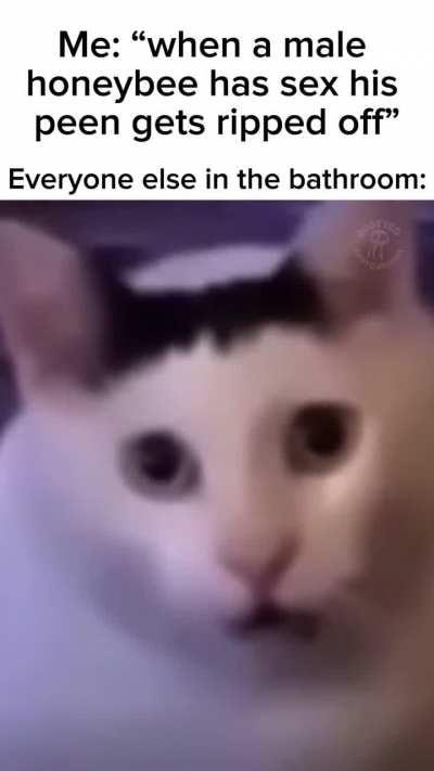 I just like to share facts