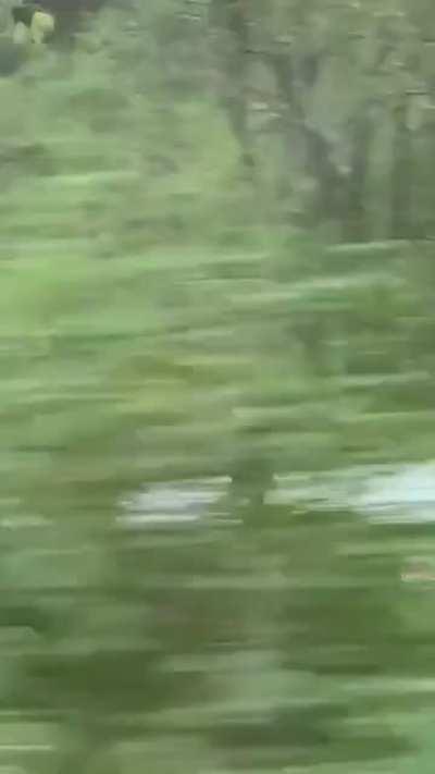 Tom Cruise enjoying norwegian nature