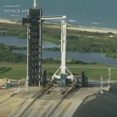 DFV on his way to the shareholders meeting 🚀🌙