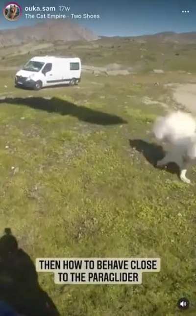 And now for something completely different