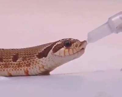 Hydration is essential