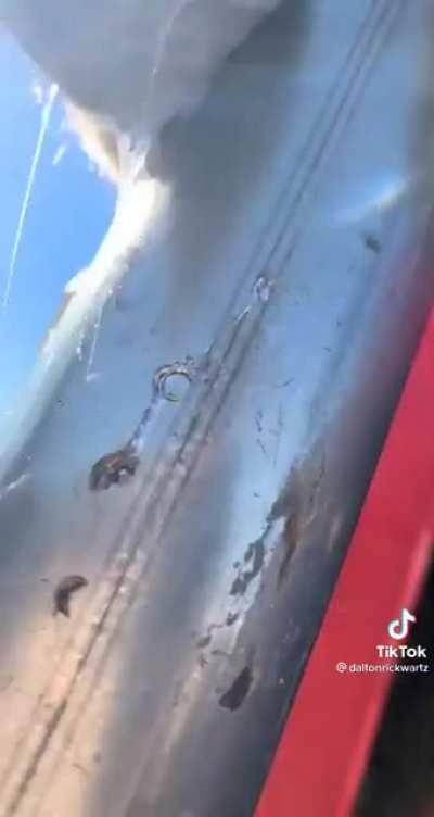 Do Giraffes 🦒 Count?