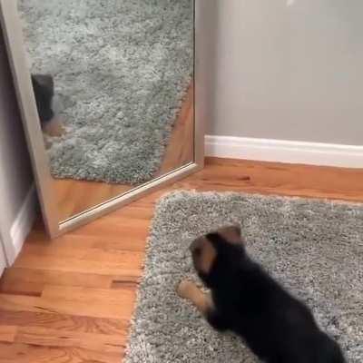 First time seeing myself in the mirror.