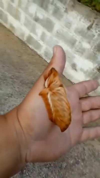 WTF??? This guy is crazy?