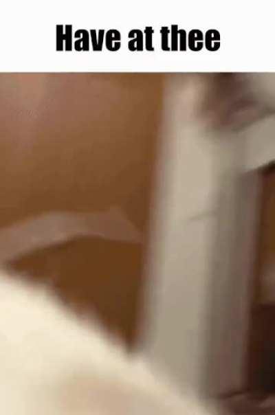 Veluza when it spots you