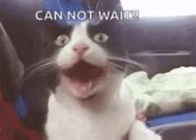 T MINUS ONE HOUR TIL TOMORROW!!! LFG!!!